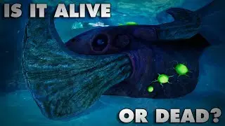 Is the Frozen Leviathan Dead or Alive in Subnautica: Below Zero | Subnautica: Below Zero Theory