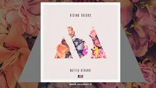 MATTEO BERARDI - Rising Colors
