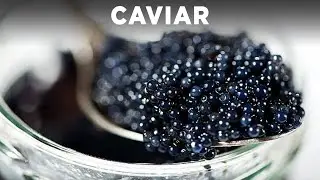 Caviar