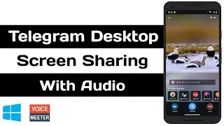 Telegram Desktop Screen Sharing With Audio | Windows