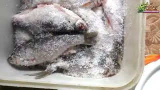 Salting and smoking fish in the summer, there are nuances that you may not have known about.