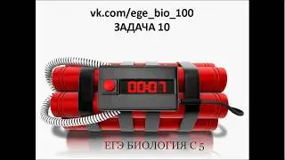 Разбор реальных заданий ЕГЭ прошлых лет . Задача 10 . Часть С 5. Подготовка к ЕГЭ и ОГЭ по биологии