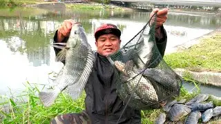 Alhamdullilah Mancing ikan Nila liar di sungai dapat sebanyak ini sampek kuwalahan