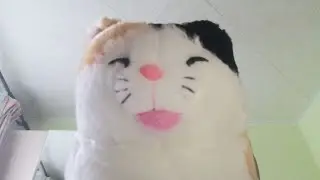 Моя коллекция котов