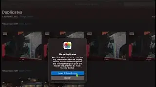 How to Delete Duplicate Pictures in Photos on macOS Ventura