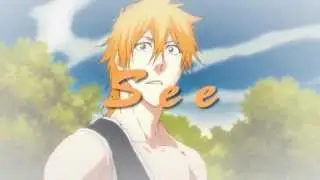 [S♥S] IchiHime ~ Talk To Me