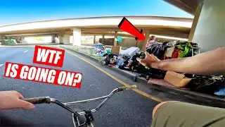 I WENT RIDING BMX AND SAW SOME WILD THINGS...
