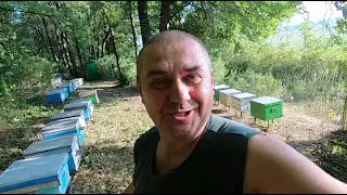 ✅ Закорм пчел в зиму, сироп, кормушки с плотиками! #ПЧЕЛОВОДСТВО2