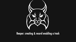 Reaper creating and record enabling a track