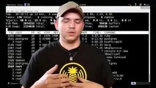 Kali Linux Metasploit Community Edition Setup