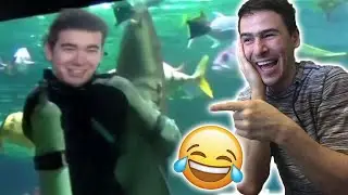 НА БАЛ С АКУЛА?!😂 @bgmonsterX1