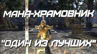 TES: ONLINE - Мана-Храмовник (Гайд). Лучший класс для новичков и один из лучших в игре!