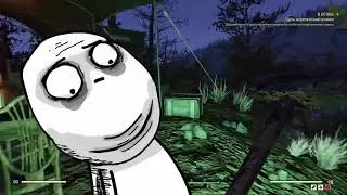 Лагерь с песиками / Передоз багов Мармок Fallout 76