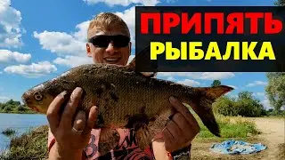 РЫБАЛКА НА ЛЕЩА РЕКА ПРИПЯТЬ ЛОВИМ НА ФИДЕР