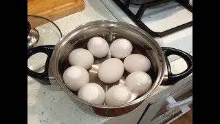 Содали сувга Тухумларни Қайнатинг ва Мўъжиза Кўринг......