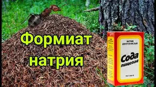 Приготовление Формиата Натрия из настоящих Муравьев/в конце оказалось провалом