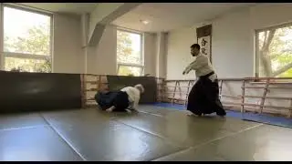 Uchi Kaiten Nage