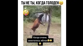 Подборка самых популярных роликов из Инстаграма