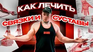 ЛЕЧИМ СВЯЗКИ И СУСТАВЫ | ПРЕПАРАТЫ ДЛЯ СВЯЗОК