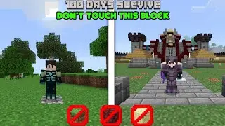 100 Days Suevive WITH Don't Touch Block 😱In Minecraft |#shorts #youtube #minecraft #ytshorts