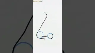 How to Draw a Realistic Nose (Side View) for Beginners