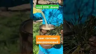 Квас  сосново мандариновый! Квас Болотова на чистотеле В ассортименте напитки, комбуча, соки, морсы!