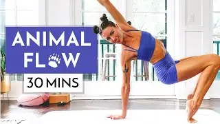30 Min Animal Moves Yoga Flow - Fun Mobility & Primal Movements