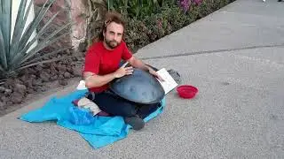 #hangdrum Puerto Vallarta, Пуэрто Ваярта,  Mexico,  Jalisco,  Zona Romántica,  2022 hang drum