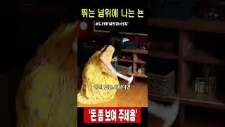 뛰는 넘 위에 나는 뇬 #살인자 o난감