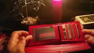 ПРИЗВАТЬ КОШЕЛЬНИКА  ДЛЯ ВСЕХ  ВЕДЬМИНА ИЗБА  ИНГА ХОСРОЕВА
