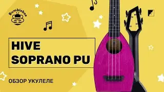 Обзор на укулеле BUMBLEBEE HIVE SOPRANO PU