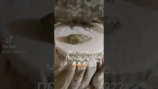 Что такое ПОГАДКА ???