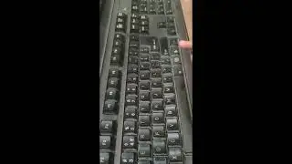 Ms word me hum kitne Tarike se Line ko le sakte hai