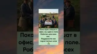 Они работают в поле, работа тяжелая. Заслуживают уважения! 