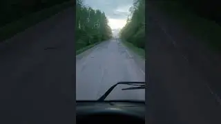 платная дорога на невель, это ужас