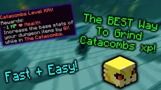 Hypixel Skyblock   BEST CATACOMBS XP GUIDE! (Fastest Method)