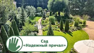 Видео журнал 