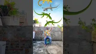 Shanakar ji Ke Damru Baje Har Har Mahadev Jai Shree Ram Hare Krishna RadheRam new 🙏 #shorts #funny