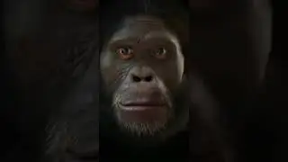 РАЗБАН ЗА 300 👈  