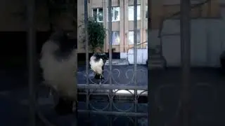 1 Серпухове что твориться в Серпухове