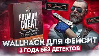 Приватный чит для фейсит CS GO — Wallhack