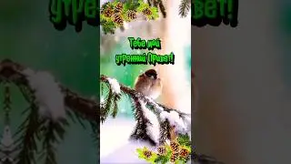 #доброеутро