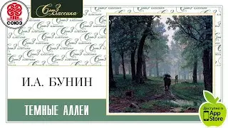 Темные аллеи. Бунин И. Аудиокнига. читает Максим Пинскер