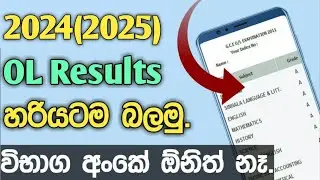 How to check 2024(2025) OL result | 2024 | 2025 OL results