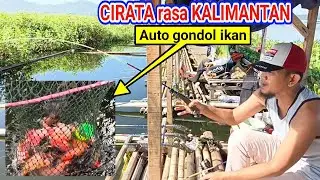 MANCING CIRATA Terbaru 2024 || pemancing pemula  dijamin jadi Pro kalau kesini