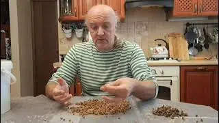 Перга  Как получается, способ добывания, полезные свойства, с чем и как кушать