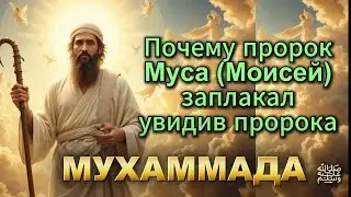Почему пророк Муса (а.с) заплакал, увидив Пророка Мухаммада ﷺ.