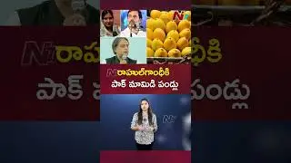 రాహుల్ గాంధీకి పాక్ మామిడి పండ్లు | Ntv