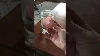 Period Blood Stain Remover - works on everything!