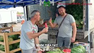 Крым. Оптовый рынок. Желябовка. Цены от 10.07.24